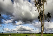 开云平台-西悉尼流浪者阵容深度显著，替补席也能决定比赛走向