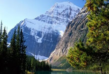 开云体育平台APP-鹿岛鹿角防线稳固，力拼摩洛哥瓦赫达全力拿分