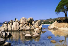 开云体育在线-摩洛哥瓦赫达主帅强调比赛节奏，冲击世俱杯冠军信心足