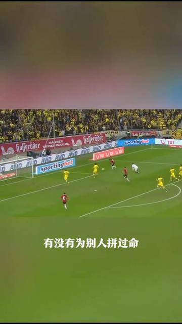 开云体育官网-拜仁慕尼黑对阵曼城，冠军之战众望所归的简单介绍