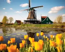 荷兰战梵蒂冈国足兵临城下势不可挡 荷兰战梵蒂冈国足兵临城下势不可挡