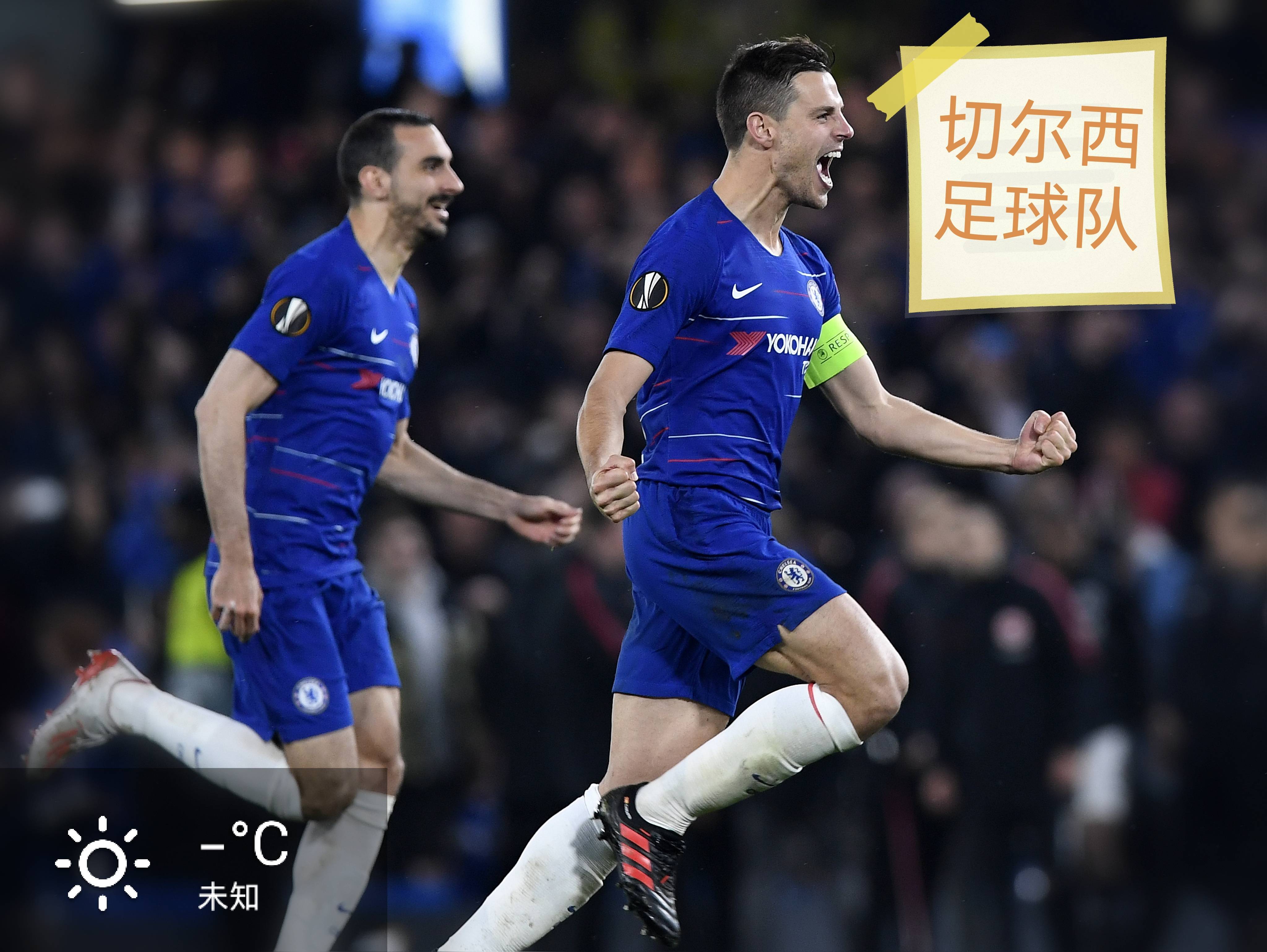 开云下载-沃尔夫斯堡客场淘汰对手，抢走积分树枝