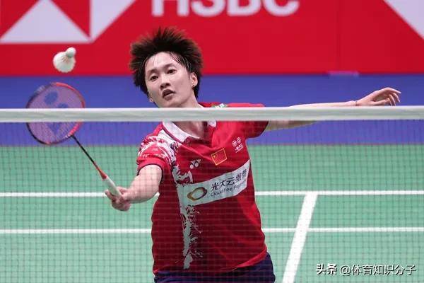 开云体育官方网站-中国羽毛球队完胜法国羽毛球队，辛杜惊艳世界的简单介绍